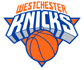 韦斯特彻斯特尼克斯 队徽